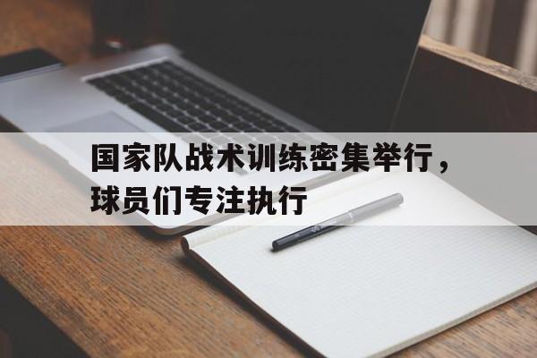 国家队战术训练密集举行，球员们专注执行
